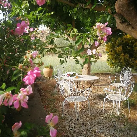 Marina Hébergement de vacances Mazaleon
