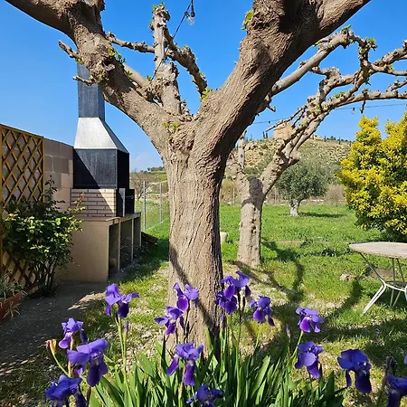 Holiday home Marina Mazaleon